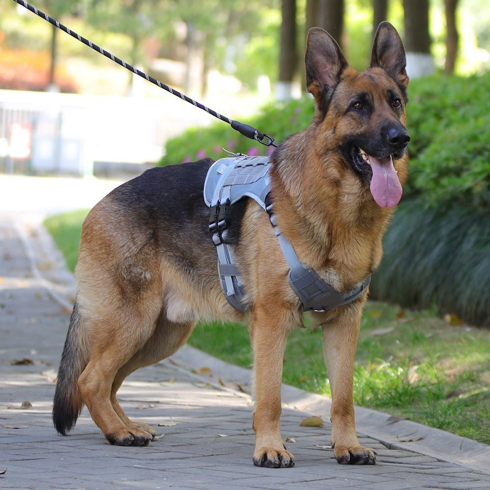 No-Pull Dog Harness