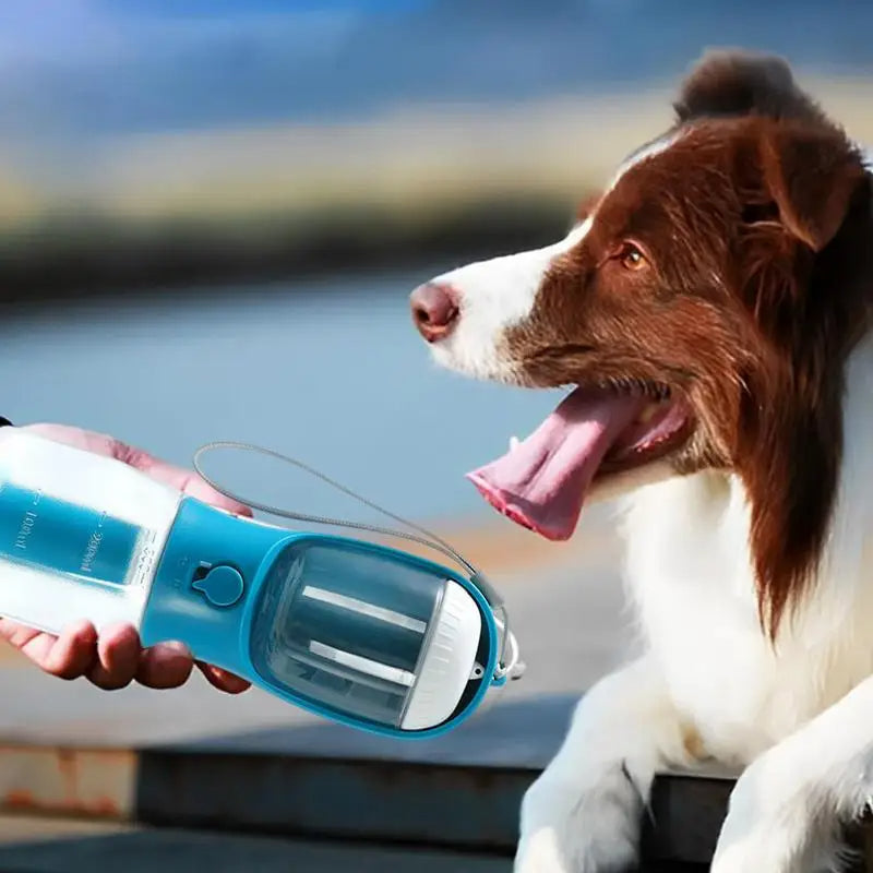 3-in-1 Dog Travel Water Bottle