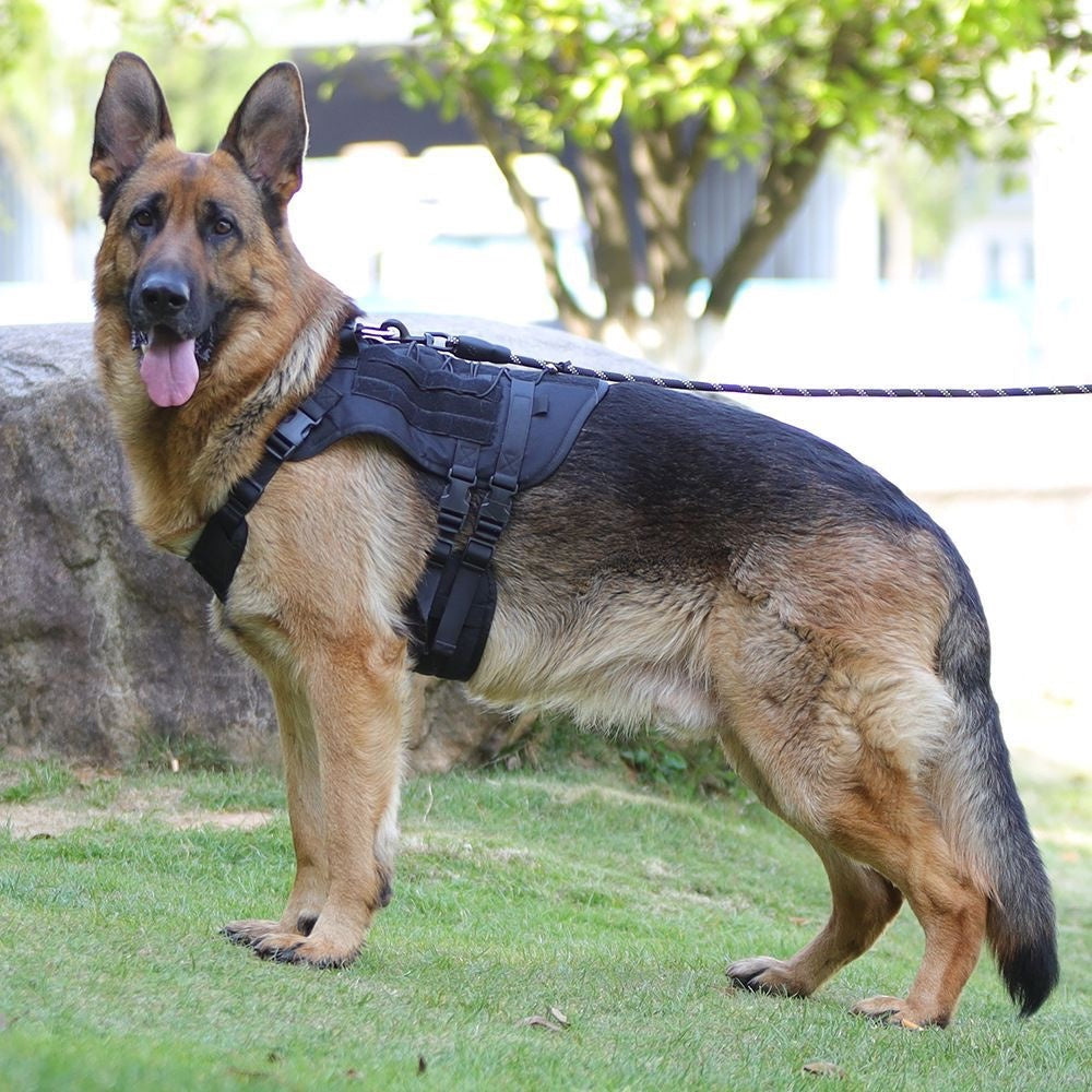No-Pull Dog Harness